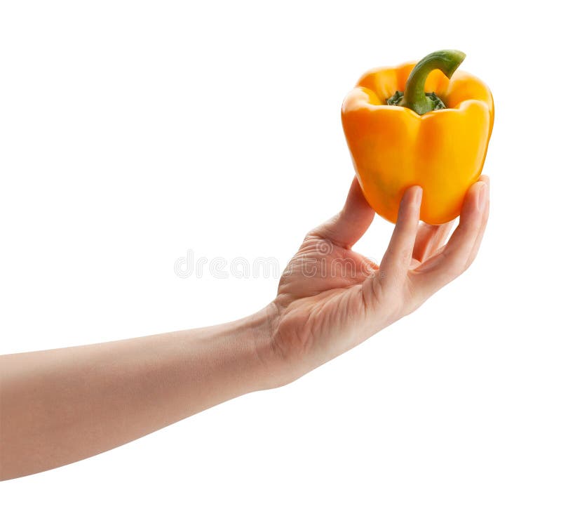 Pimenta amarela foto de stock