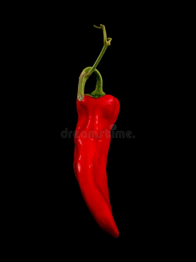 Pimenta de pimentão encarnado imagem de stock Pimenta de pimentão encarnado imagem de stock