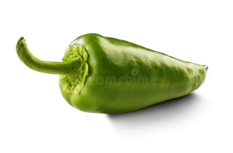 Green pepper on white background. Green pepper on white background