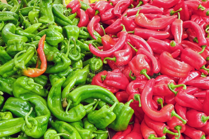Pimentas verdes e vermelhas do Jalapeno fotos de stock Pimentas verdes e vermelhas do Jalapeno fotos de stock