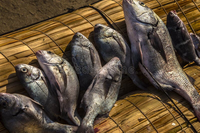 Pimentel beaches in chiclayo - Peru fishing area. Pimentel beaches in chiclayo - Peru fishing area