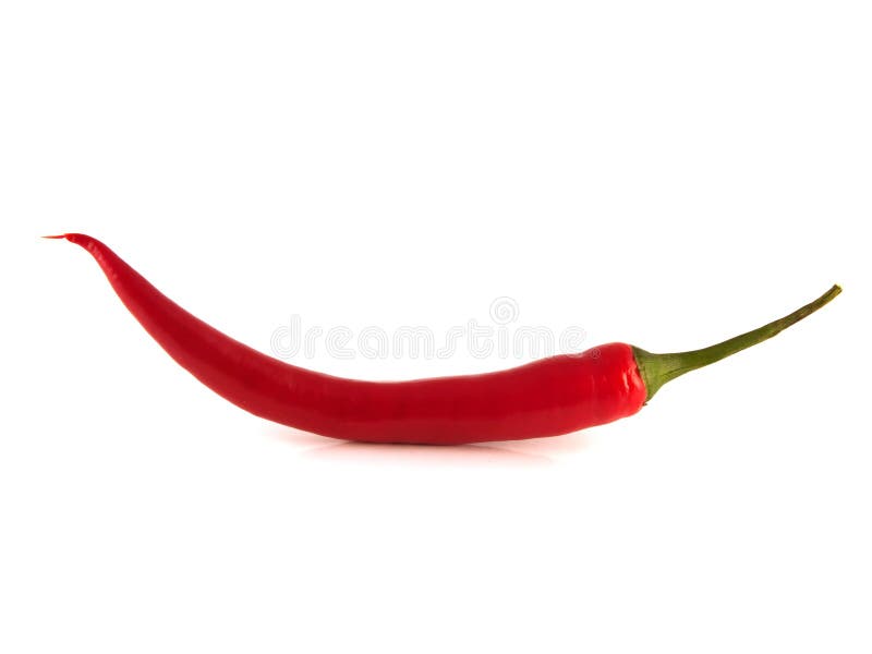 Pimento vermelho picante sobre fundo branco imagem de stock