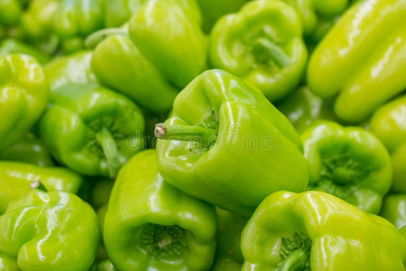 Pimento de sino verde fresco no mercado, alimento saudável fotografia de stock royalty free Pimento de sino verde fresco no mercado, alimento saudável fotografia de stock royalty free