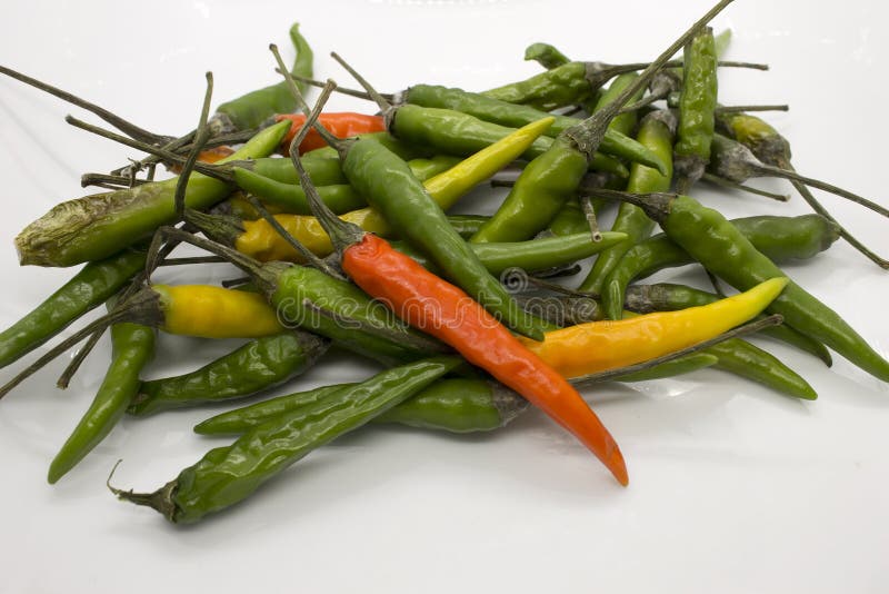Piments chili thaïlandais photos stock Piments chili thaïlandais photos stock