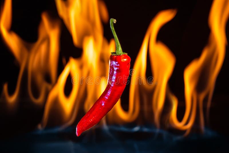 Pimienta de chiles candente con las llamas del fuego imagenes de archivo Pimienta de chiles candente con las llamas del fuego imagenes de archivo