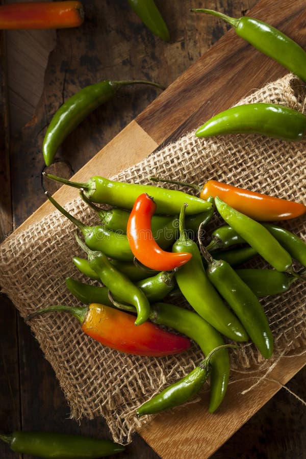 Pimientas picantes verdes orgánicas de Serrano foto de archivo libre de regalías