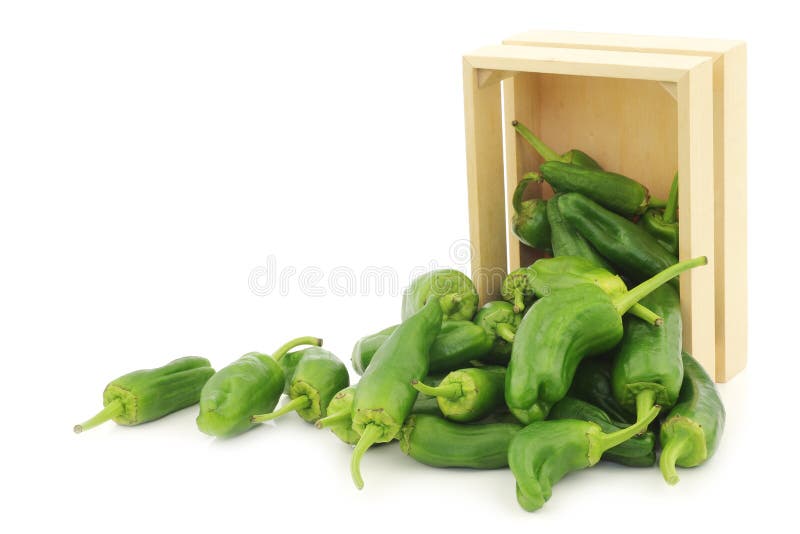 Pimientas recién cosechadas del jalapeno en un cajón de madera imagen de archivo libre de regalías