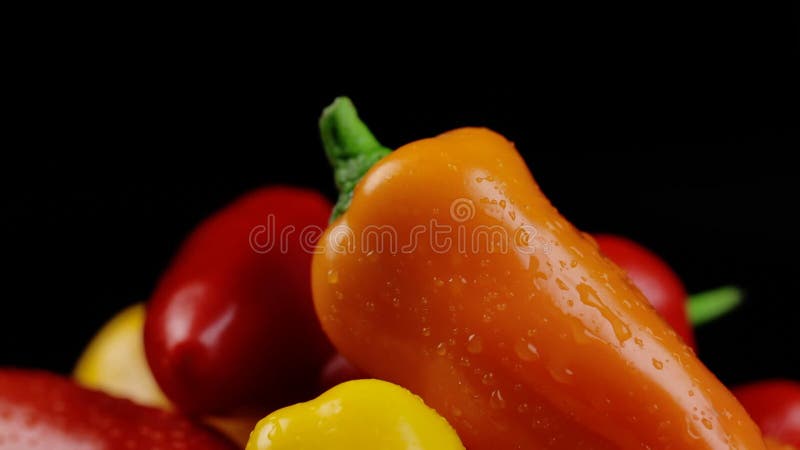 Pimientos amarillos naranja y rojo dulces colores vivos de vuelta en el fondo negro almacen de metraje de vídeo