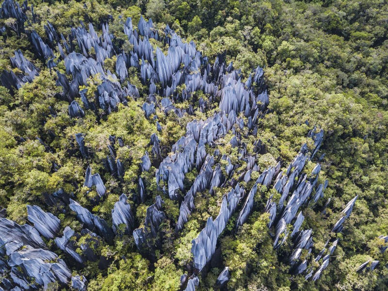 Pináculos En El Parque Nacional De Gunung Mulu Borneo Malasia. Foto de archivo - Imagen de malasia, terreno: 198350570