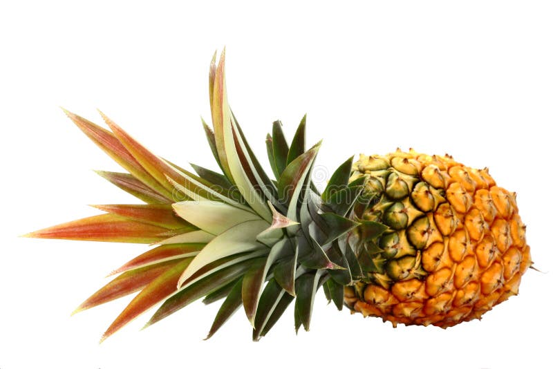 A juicy orange pineapple with skin on and crown , white background