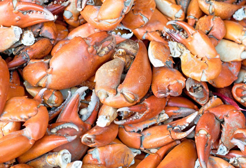 Crab Pincers Textured Background. Stock Image Image of sharp