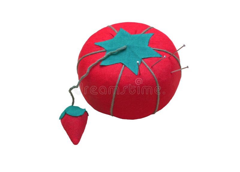 Isolated Pincushion Flower Plant Stock Image Image of bloom, isolated