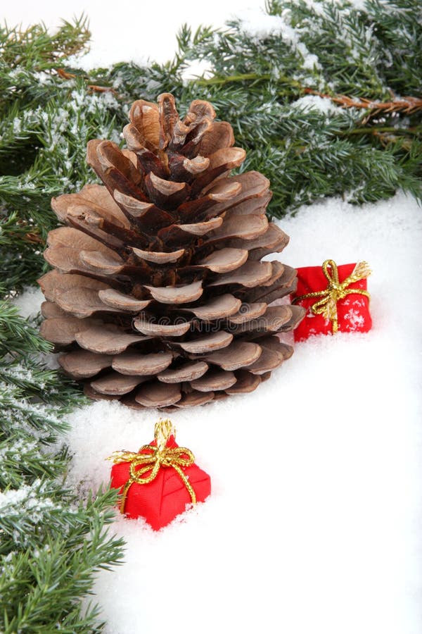 Pine branch with cone and gift boxes