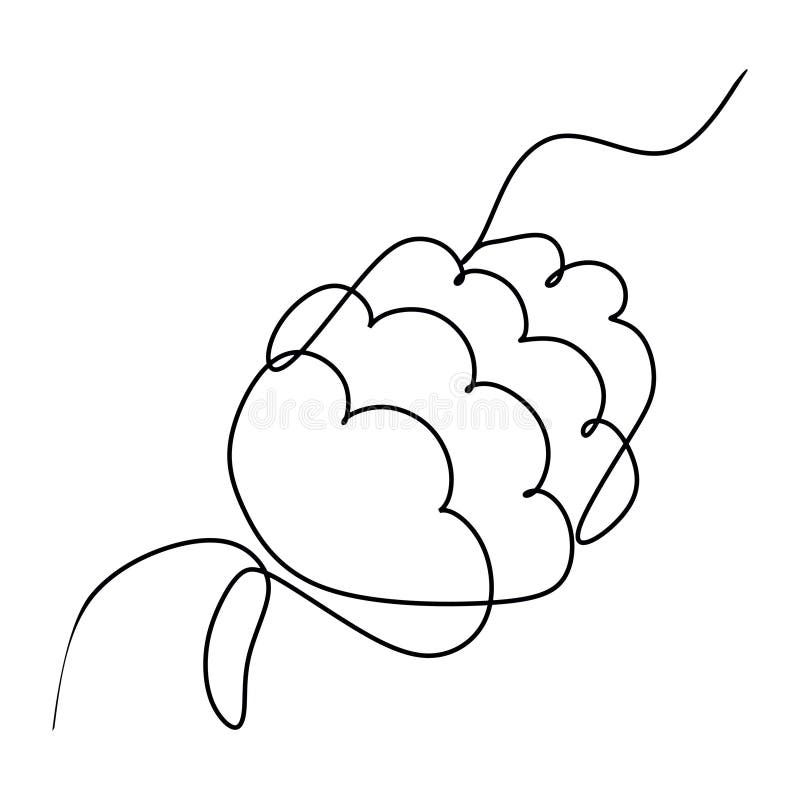 Pine Cone Continuous line drawing. Forest Cedar Ornamental Simple Modern Line art with Black Color Vector Design. Outline stock illustration