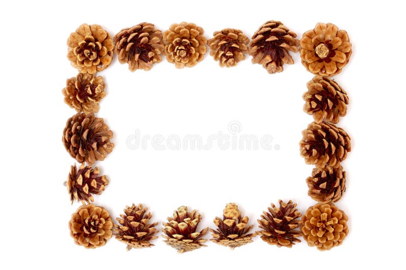 Pine cone frame