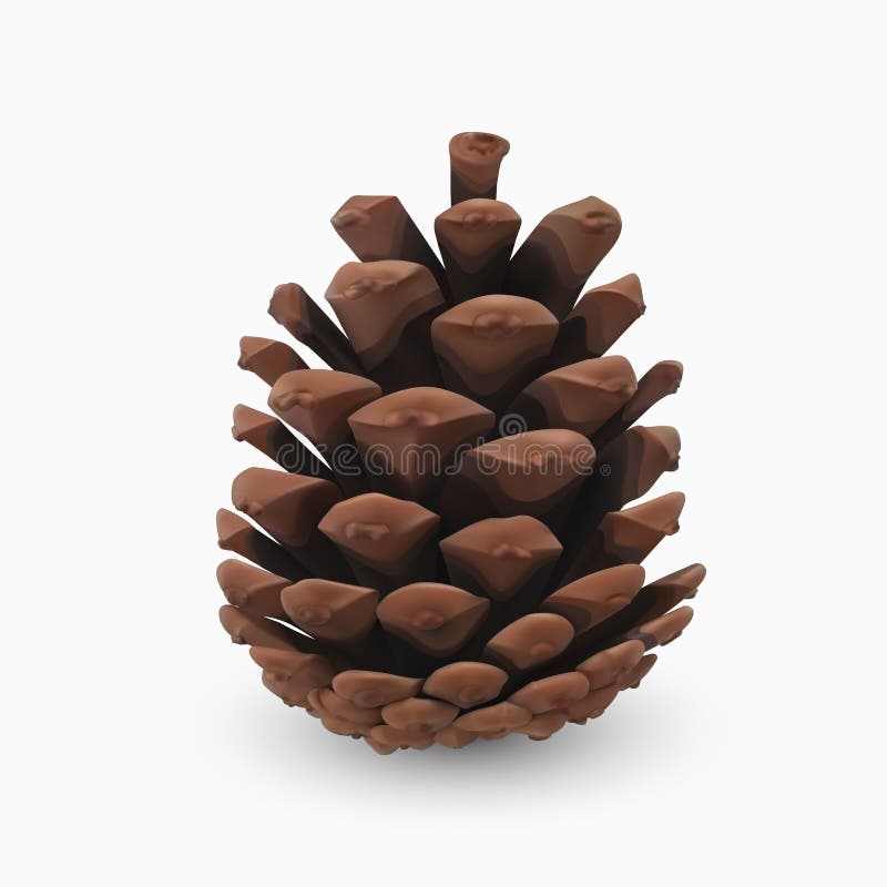Pine cone. Realistic 3d object isolated on white. Christmas greeting card design template element. Pinecone vector icon, symbol stock illustration