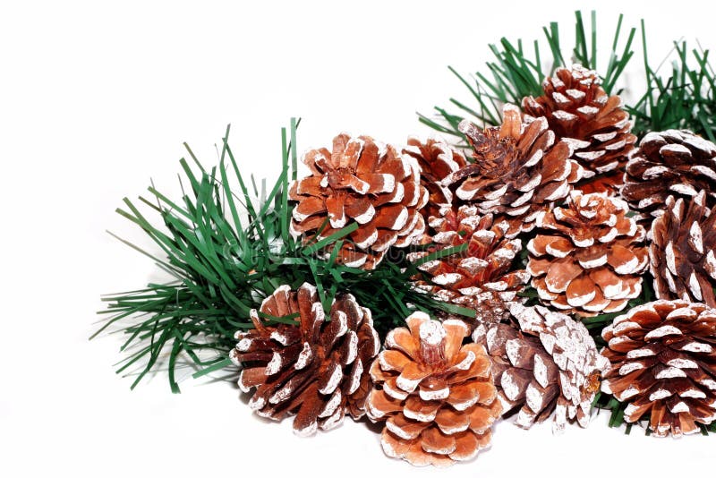 Pine Cones stock image. Image of holiday, pinecone, pine 3439047