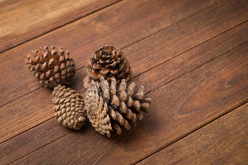 Pine cones On the wooden floor. appreciated the interior. stock photos