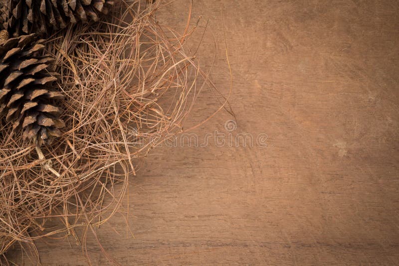 Pine cones On the wooden floor. appreciated the interior. stock photography