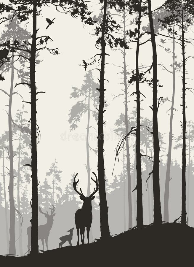 Download а Pine Forest With A Family Of Deer And Birds Stock Vector ...