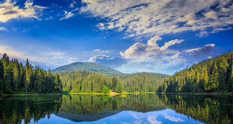 Pine forest and lake near the mountain early in the morning