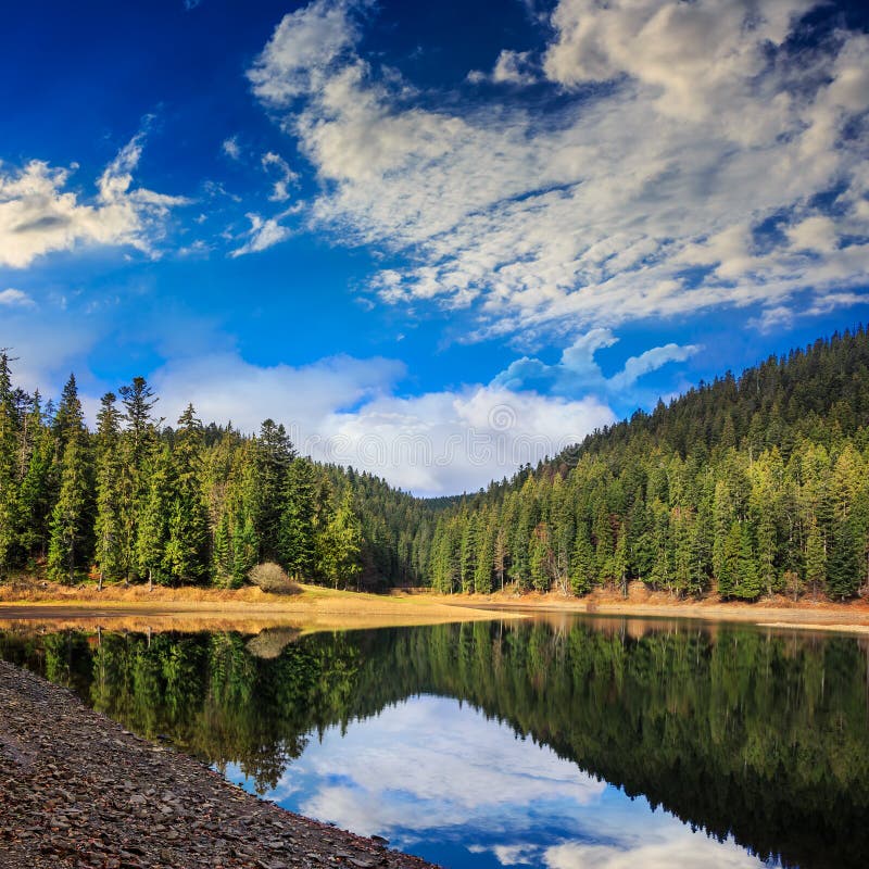 Pine Forest And Lake Near The Mountain Early In The Morning Stock Photo