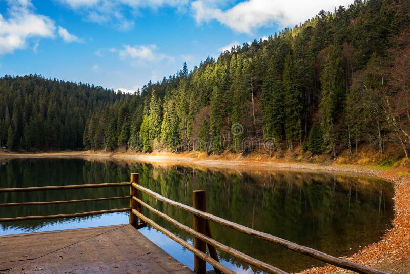 Pine forest and lake near the mountain early in the morning