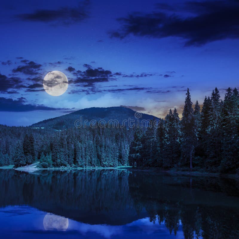 Pine Forest and Lake Near the Mountain at Night Stock Photo - Image of ...