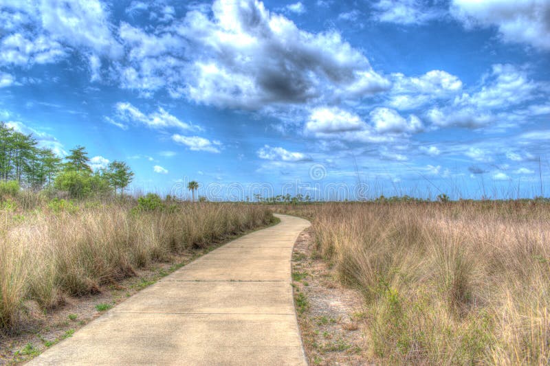 Pine Glades Obszar przyrodniczy Indiantown Road Jowisz Szlak Przyrody Forida zdjęcie stock