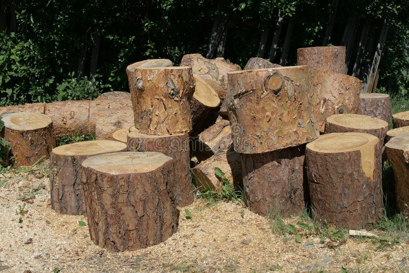 Pine logs royalty free stock image