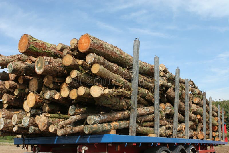 Pine Logs Logging Timber Trailer royalty free stock images