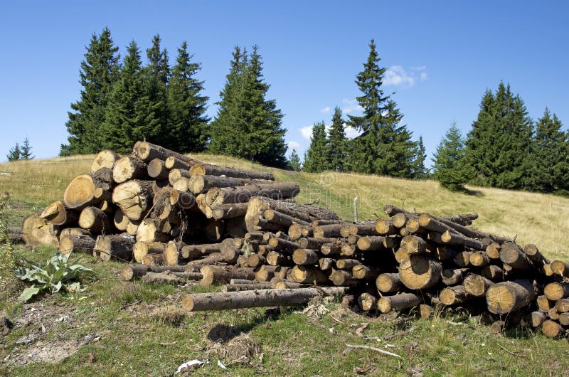 Pine logs in the mountains stock photo. Image of outdoor 59235784