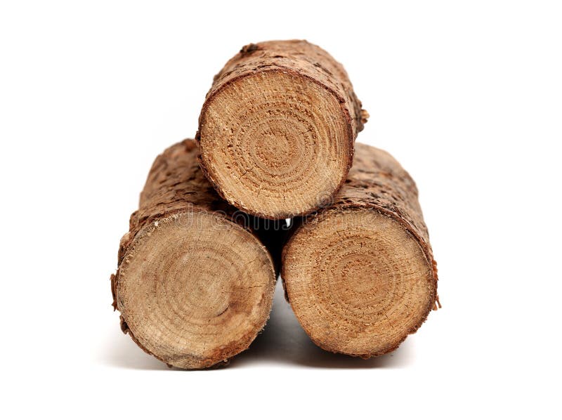 Pine logs stock photo. Image of closeup, logging, rural 156819016