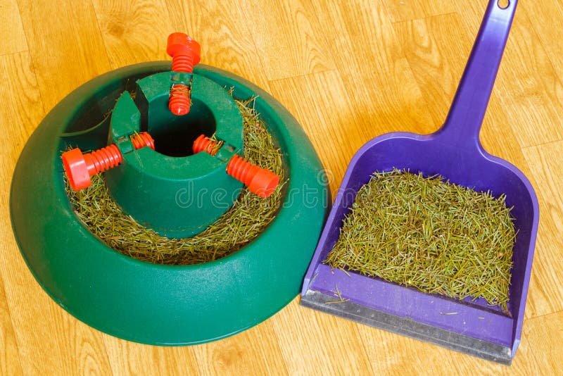 Pine Needles from the Christmas Tree Stock Photo Image of dying