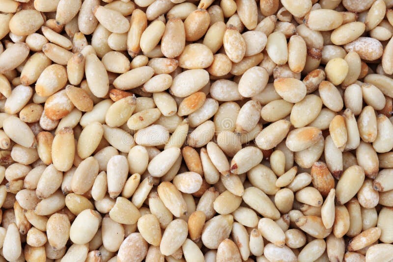 Pine nuts stock photo. Image of pine, background, nuts 21507694