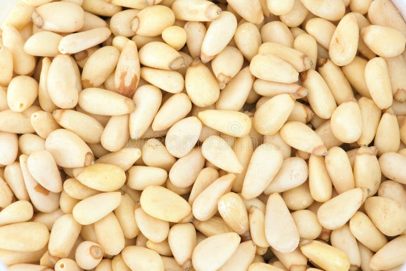 Pine nuts royalty free stock photos Pine nuts royalty free stock photos