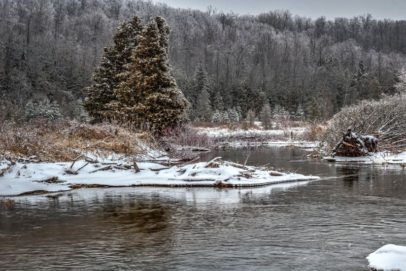 Pine River After A Winter Ice Storm