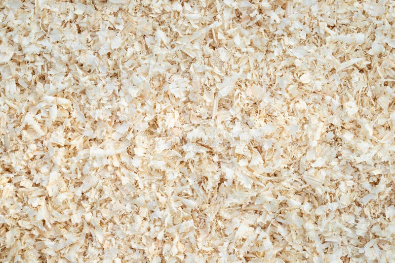 Pine Sawdust or Wood Dust of Young Pine Tree. Stock Photo Image of ecology, shavings 128374412