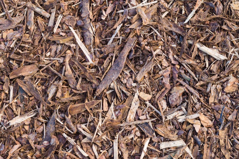 Pine Tree Bark Chip Background Stock Photo Image of protect, ground