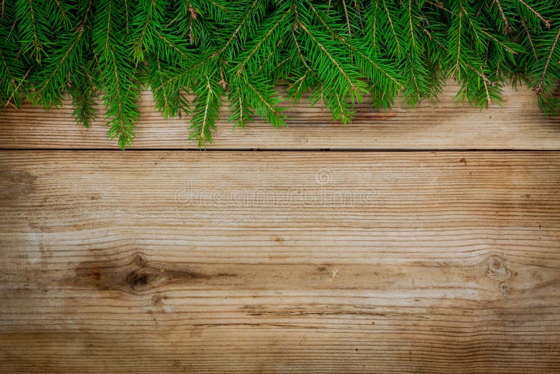 265,507 Tree Border Stock Photos Free & RoyaltyFree Stock Photos