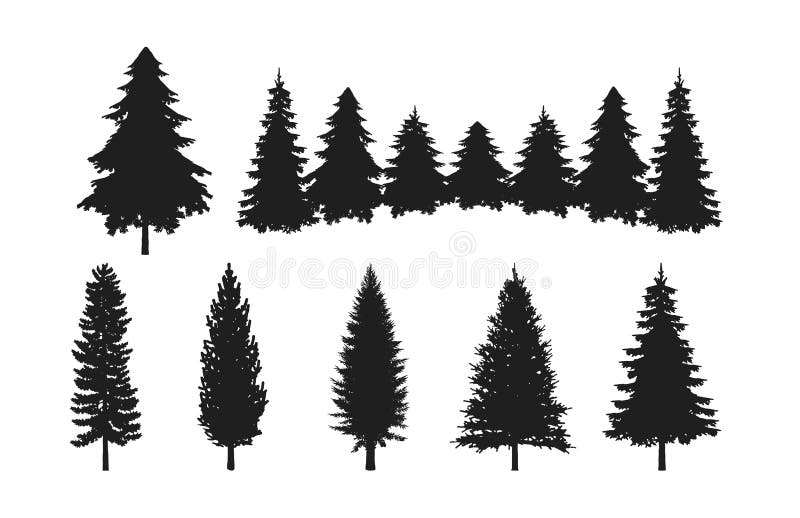 pine trees forest silhouette