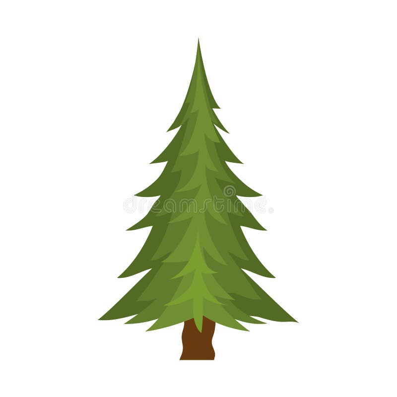 pine tree