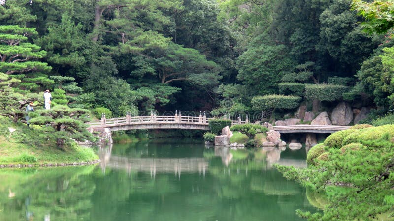 Tvarované borovice stromy a dřevěný most přes rybník inRitsurin krásné tradiční Japonská zahrada v Takamatsu, Shikoku, Japonsko.