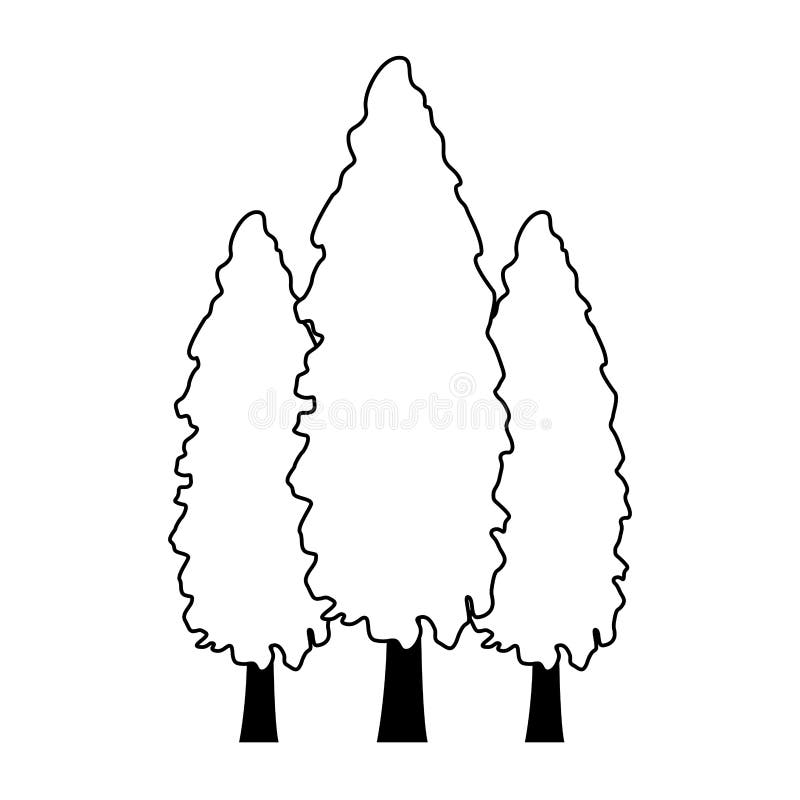 Trees icon image royalty free illustration