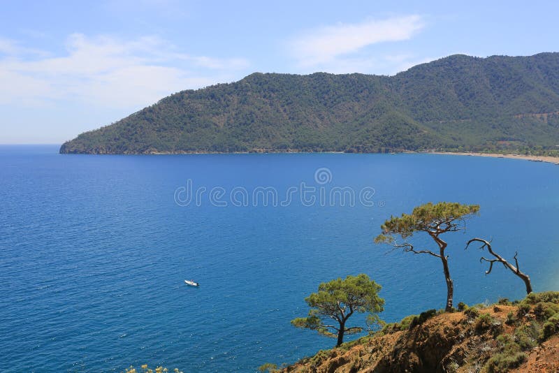 Beautiful Mediterranean Sea With Clear Turquoise Water And Pine Trees Stock  Photo - Image of greece, green: 223913666