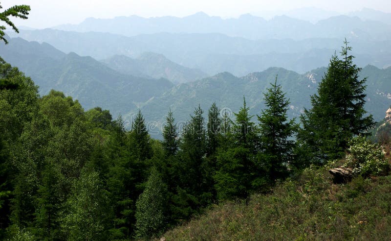 pine mountain pine mountain