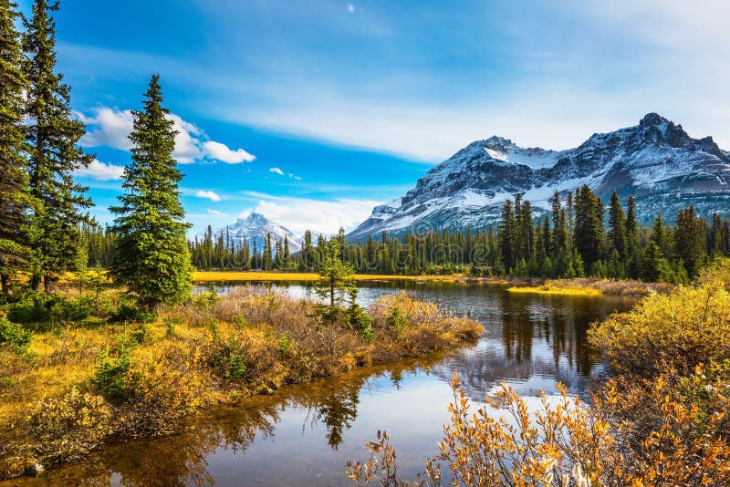 Pine Trees Reflected in the Lake Stock Image - Image of green, autumn ...