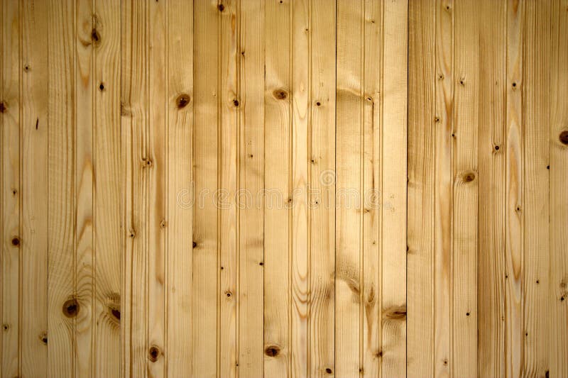 Pine wood background