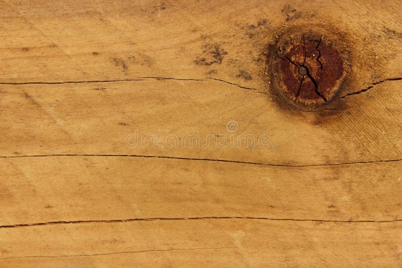 Pine wood knot stock image. Image of knot, wood, sandy 43037057