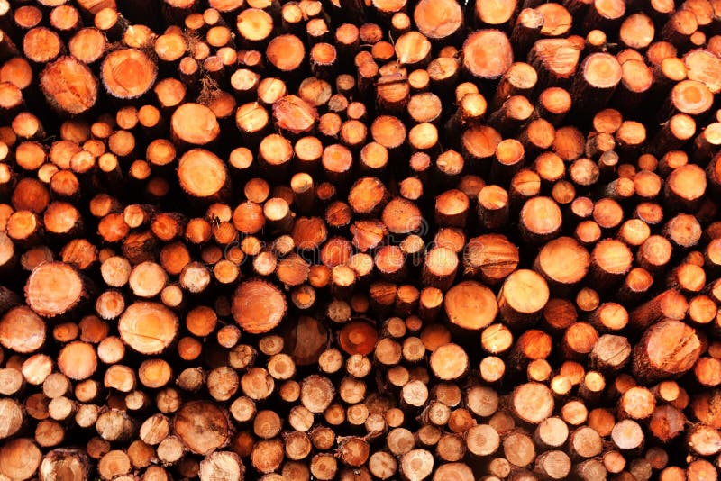Pine Wood Pile stock image. Image of circle, lumber, pile 18565691